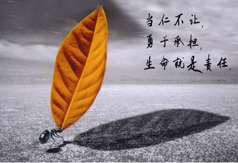 &#20843;&#25106;&#20307;&#32946;&#40;&#20013;&#22269;&#41;&#23448;&#26041;&#32593;&#31449;&#45;&#30331;&#24405;&#20837;&#21475;